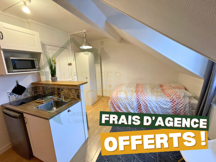 TRES BEAU STUDIO MEUBLE PLEIN CENTRE VILLE