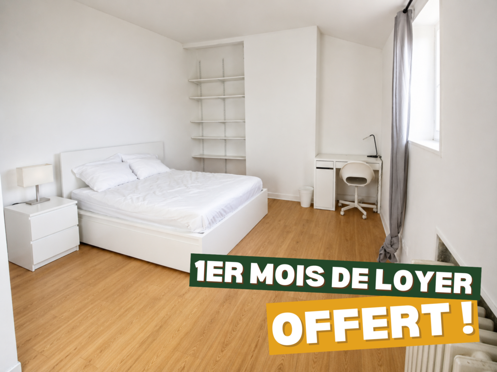 Superbe chambre dans une magnifique colocation !