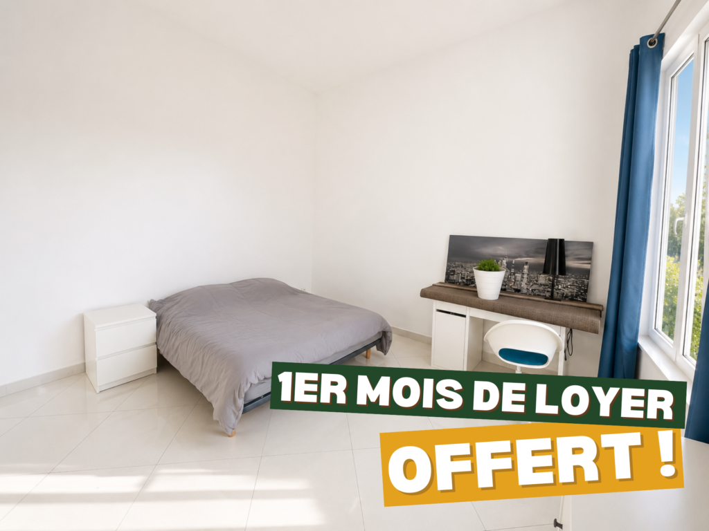 Superbe chambre dans une magnifique colocation !