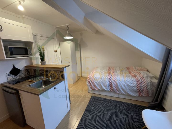TRES BEAU STUDIO MEUBLE PLEIN CENTRE VILLE