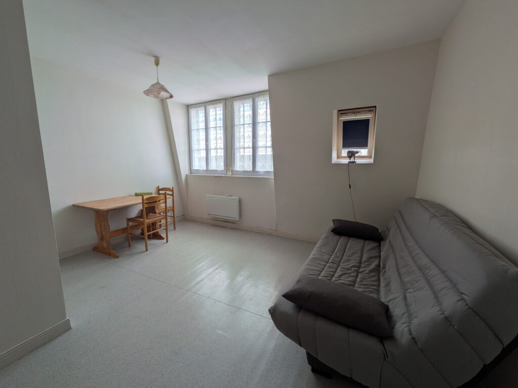 STUDIO MEUBLE DE 21M2 EN CENTRE VILLE