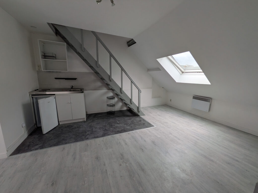 APPARTEMENT DUPLEX ENTRE CENTRE VILLE ET GARE